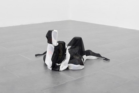 Anna-Sophie Berger, hunch, 2017, Galerie Emanuel Layr