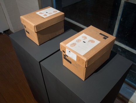 Daniel Boyd, Decommissioned skull boxes, Natural History Museum, London, , Roslyn Oxley9 Gallery