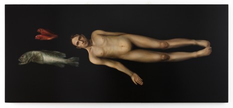 Sophie Kuijken, V.S.N., 2016, Galerie Nathalie Obadia