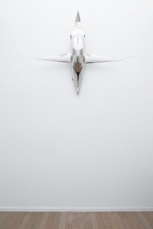 Not Vital, A Plane, A Boat, A Car, A Sled, 2011, Galerie Thaddaeus Ropac