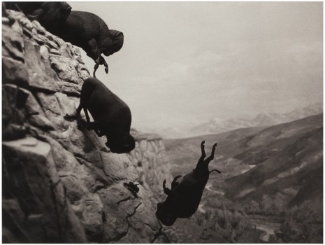David Wojnarowicz, Untitled (Buffalos), 1988-1989 , Marian Goodman Gallery
