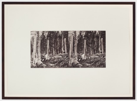 Danh Vo, Snowfall, Northern Sierras 1847, 2014  , Marian Goodman Gallery