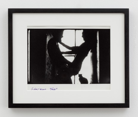 Carolee Schneemann, Fuses, 1965 , Venus Over Manhattan