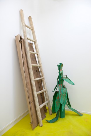 Rinus Van de Velde, Prop, Escape, Ladder, Plant & Board, 2017, Tim Van Laere Gallery