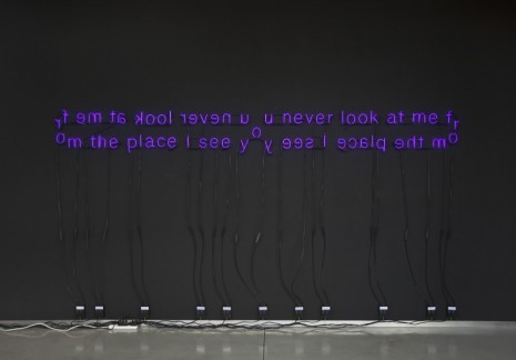 Pietro Roccasalva, You Never Look at Me from the Place I See You, 2012, David Kordansky Gallery