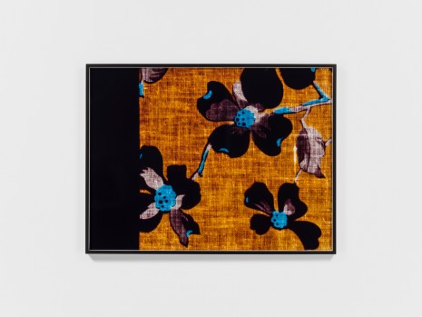 Lisa Oppenheim, Remnant (Apple Blossoms), 2017 , Tanya Bonakdar Gallery