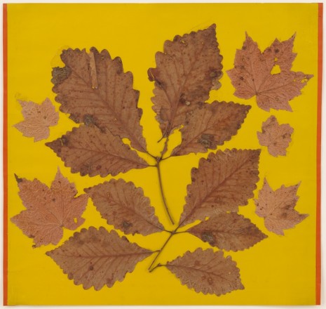 Josef Albers, Leaf Study III, c. 1940 , David Zwirner