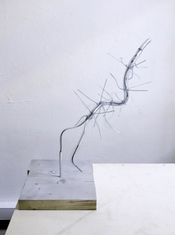 Martin Walde, PISA (Hallucigenia Modell), 2015, Galerie Krinzinger
