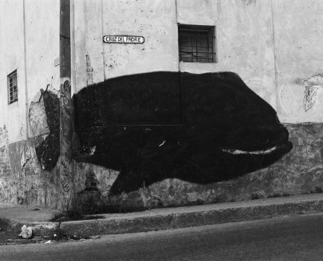Carlos Garaicoa, From the series Bestiary (Whale), 2017 , Galleria Continua