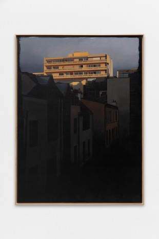 Grégory Derenne, Roquette #2, 2017 , Galerie Bertrand Grimont