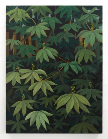 Stephen McKenna, Horse Chestnut Leaves, 2012, Kerlin Gallery