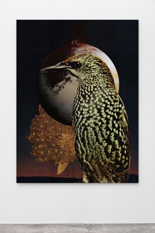 Jakob Kolding, Bird's-Eye View, 2017, Galleri Nicolai Wallner