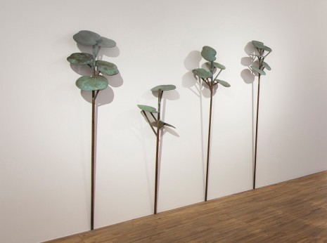 Giovanni Ozzola, series 'Plants - Tus lunares son estrellas', 2016-2017, Galleria Continua