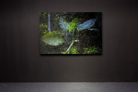 Giovanni Ozzola, Vanitas - Tu boca es mi medida, 2017, Galleria Continua