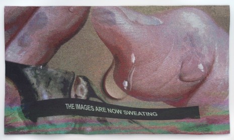 Laure Prouvost, The images are now sweating, 2017 , Galerie Nathalie Obadia