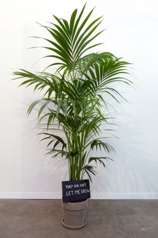 Laure Prouvost, Depressed Plants, They Did Not Let Me Grow, 2014 , Galerie Nathalie Obadia