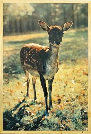 Paul McCarthy, The Bavarian Deer, 1987 / 1999, Hauser & Wirth Somerset