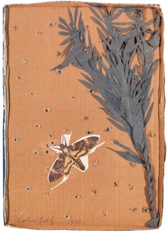 Colin Self, Deathshead Hawk Moth breathing from Starry Sky, c.1990s, The Mayor Gallery