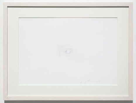 Giuseppe Penone, Identitá, 2016 , Marian Goodman Gallery