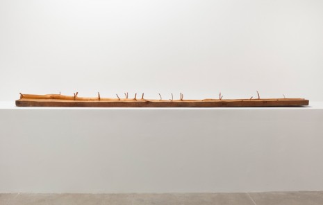 Giuseppe Penone, Albero di 3,50 metri, 1985, Marian Goodman Gallery