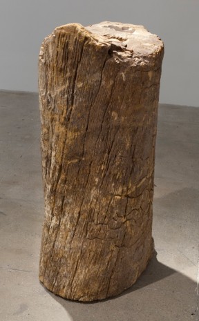Giuseppe Penone, Essere vento (To Be Wind), 2014 , Marian Goodman Gallery