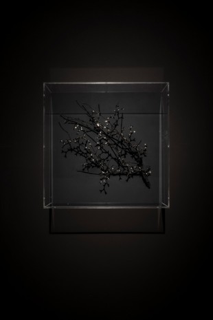 Loris Cecchini, Nocturnal thesis fragments, 2017, Galleria Continua