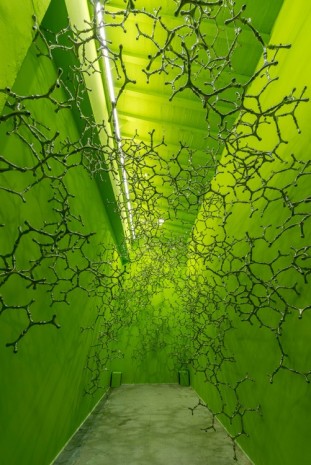 Loris Cecchini, Waterbones (Green Sponge + L System), 2018, Galleria Continua