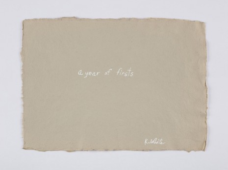 Kathleen White, A Year of Firsts, 2001, Martos Gallery