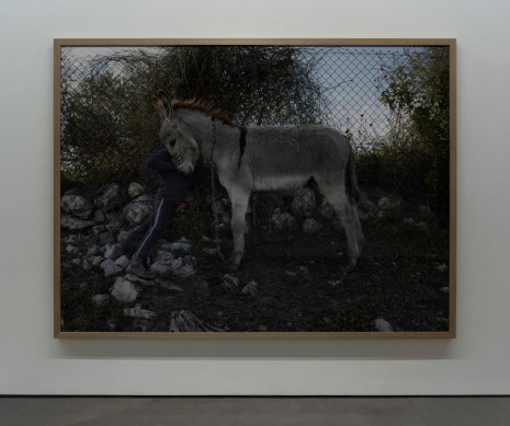 Luc Delahaye , Sumud, 2017 , Galerie Nathalie Obadia