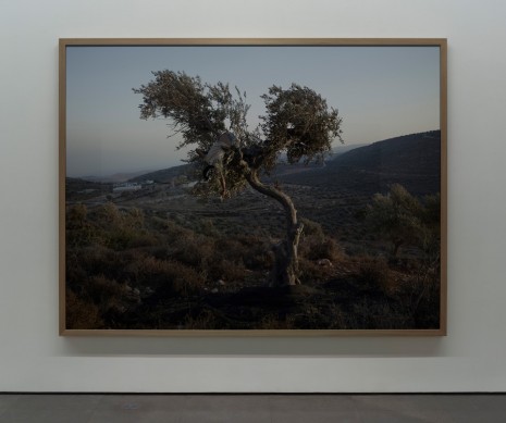 Luc Delahaye , Récolte, 2015 , Galerie Nathalie Obadia
