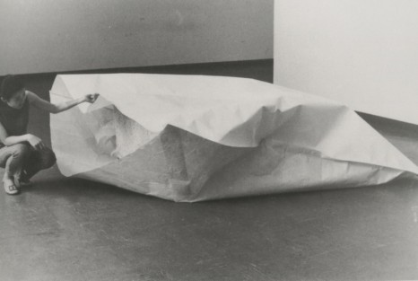 Susumu Koshimizu, Paper (formerly Paper 2), 1969/2012, Blum & Poe