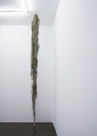 Mandla Reuter, Up, 2018 , Galerie Mezzanin