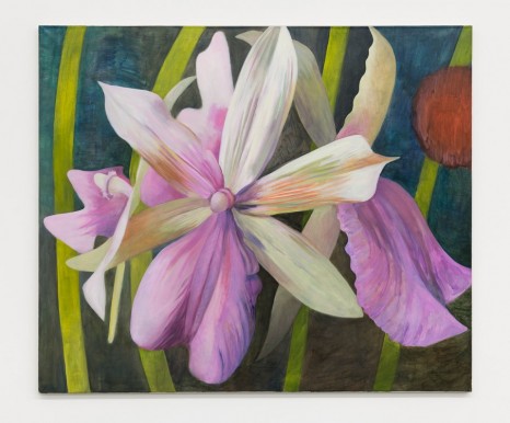 Birgit Megerle, Orchid Nr. 1, 2016 , Galerie Neu
