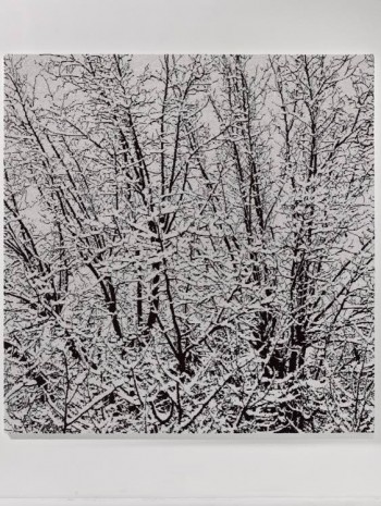 Farhad Moshiri, First Snow 011C, 2017 , Galerie Thaddaeus Ropac