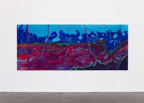 Cy Gavin, Blighted Cedar, 2017 , VNH Gallery