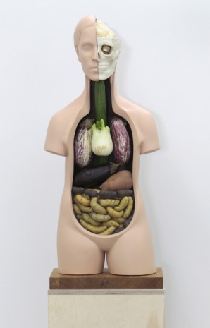 Klaus Weber, Veggieanatomy, 2011, Andrew Kreps Gallery