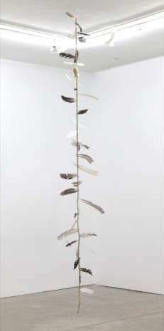Klaus Weber, Witches' Ladder, 2011, Andrew Kreps Gallery