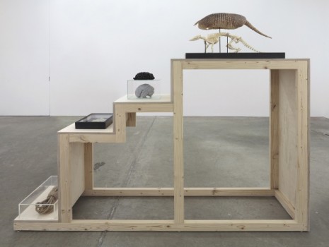 Klaus Weber, In Limbo (Stairway plinth), 2012, Andrew Kreps Gallery