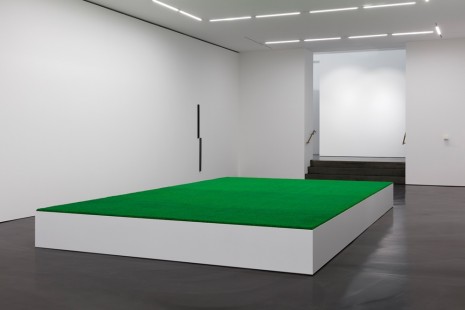 Ceal Floyer, Greener Grass, 2018, Esther Schipper
