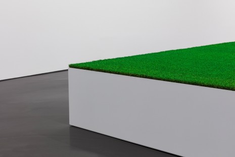 Ceal Floyer, Greener Grass, 2018, Esther Schipper