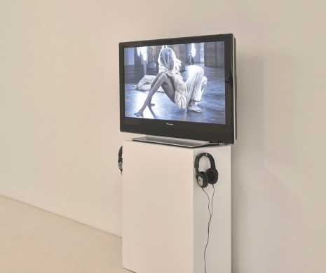 Naufus Ramírez-Figueroa, Linneaus in Tenebris, 2017 , Sies + Höke Galerie