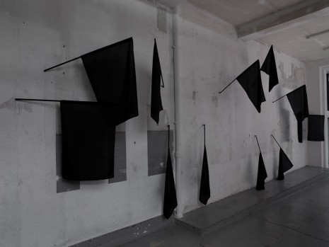 Bruno Rousseaud, WILDER, 2018, Galerie Mercier & Associés