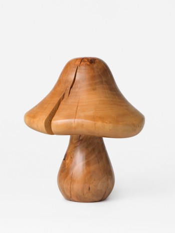 Claudia Comte, The Mushroom, 2018 , König Galerie