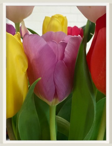 Roe Ethridge, Tulips from the Juice Place, 2018 , Gladstone Gallery