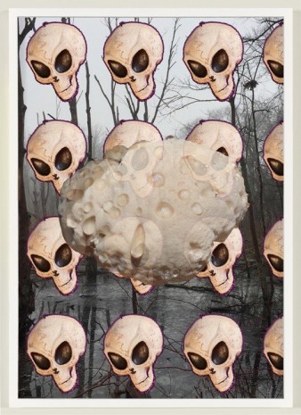 Roe Ethridge, Swanp with Alien Skulls and Turkey Tail Mycelium, 2018 , Gladstone Gallery