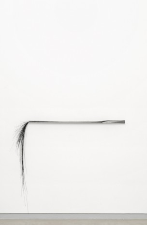 Victoire Thierrée, Black Tail (shell), 2018, Galerie Bertrand Grimont