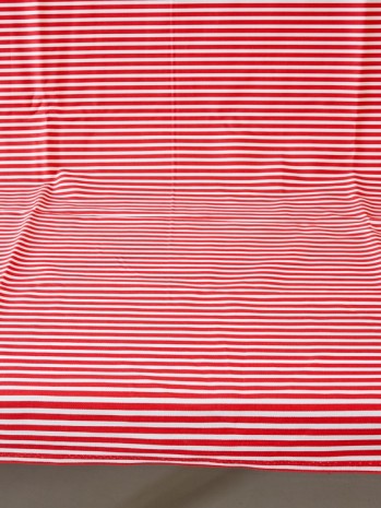 Annette Kelm, Red Stripes 2, 2018 , Andrew Kreps Gallery