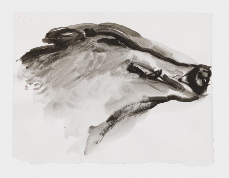 Marlene Dumas, The boar smiles, 2015-2016, David Zwirner