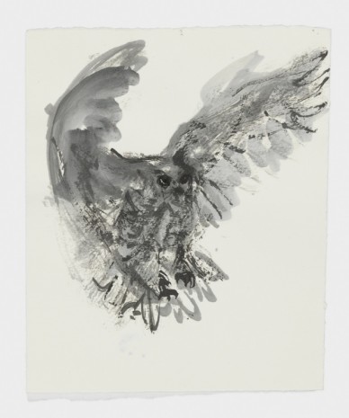Marlene Dumas, The owl, 2015-2016, David Zwirner