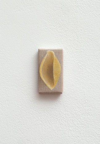 Helene Appel, Shell Pasta, 2017 , James Cohan Gallery